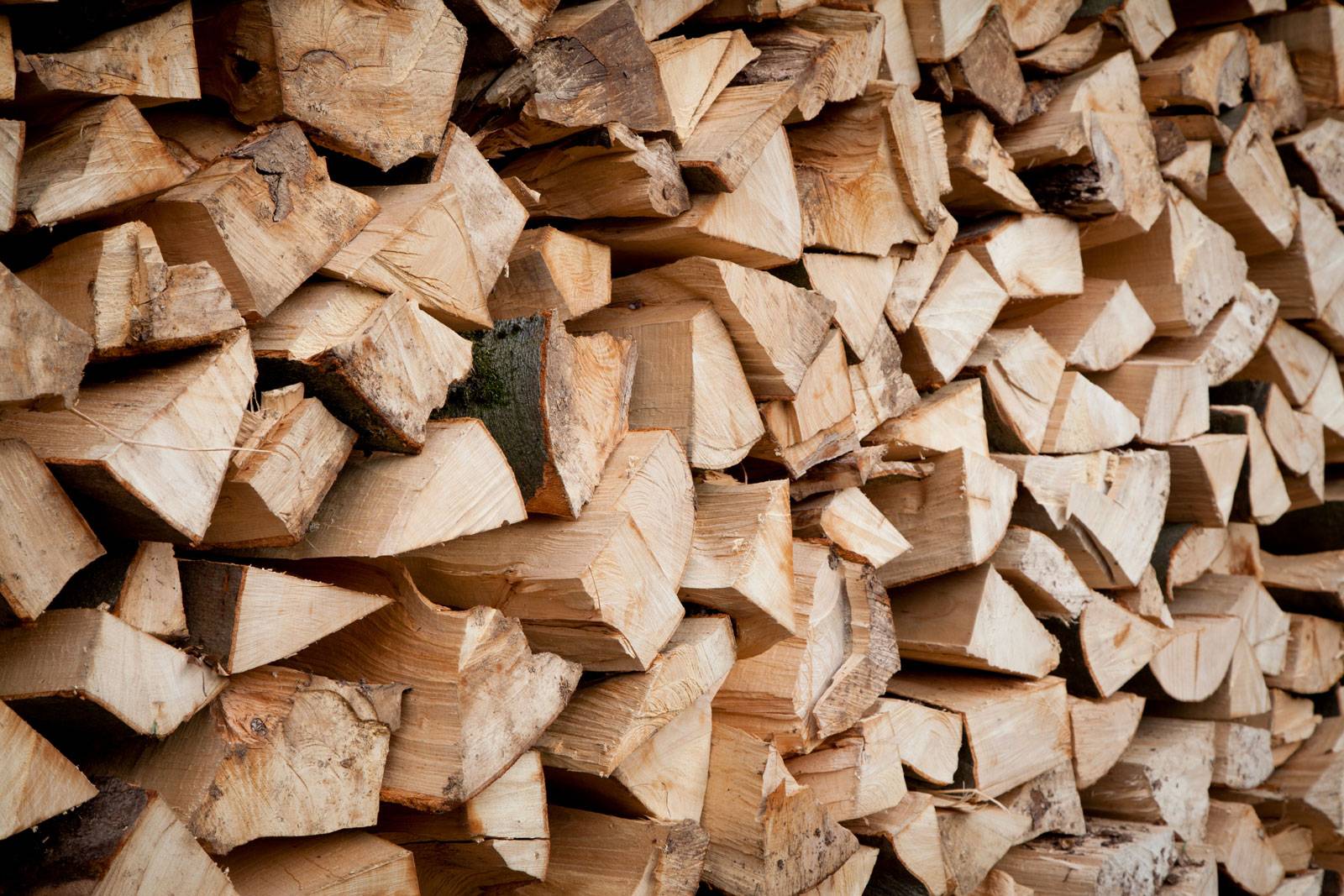 La chaleur et le silence des poêles RIKA