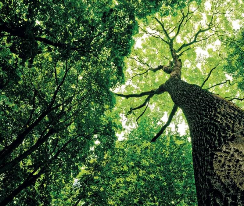 Engagement environnementale de RIKA